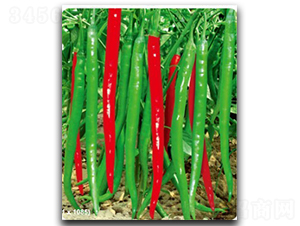 ����(y��u)��̖-�����N��-�մ��r(n��ng)�I(y��)