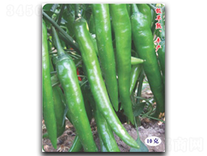 ���S11̖-�����N��-�մ��r(n��ng)�I(y��)