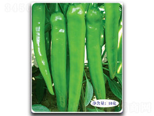 ����101-�����N��-�մ��r(n��ng)�I(y��)