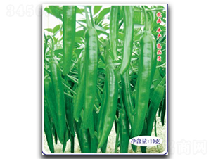 �߮a(ch��n)������̖-�����N��-�մ��r(n��ng)�I(y��)