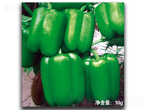 ��������-�����N��-�մ��r(n��ng)�I(y��)