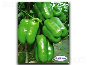 ���غ�-�����N��-�մ��r(n��ng)�I(y��)