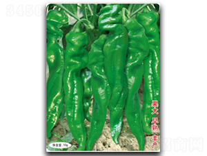 ��������-�����N��-�մ��r(n��ng)�I(y��)