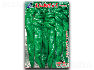 ����������̖-�����N��-�մ��r(n��ng)�I(y��)