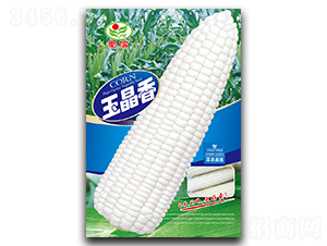 ����-���׷N��-���ŷN�I(y��)