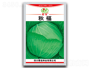 �︣-���˷N��-���ŷN�I(y��)