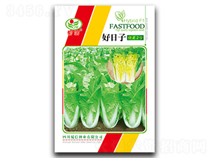 �����ӿ��2̖-��˷N��-���ŷN�I(y��)