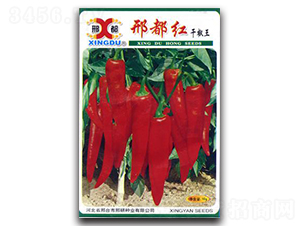 �϶��t-�����N��-���зN�I(y��)