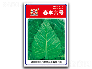 ���S��̖-���{�N��-���зN�I(y��)