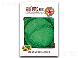 ��A��̖-���{�N��-���зN�I(y��)