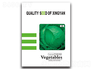 ������{-���{�N��-���зN�I(y��)