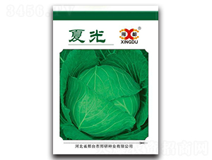 �Ĺ�-���{�N��-���зN�I(y��)