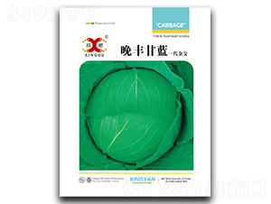 ���S���{-���{�N��-���зN�I(y��)