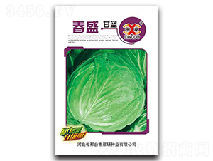 ��ʢ-���{�N��-���зN�I(y��)