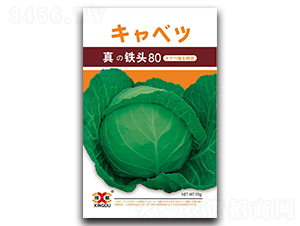 ���F�^80-���{�N��-���зN�I(y��)