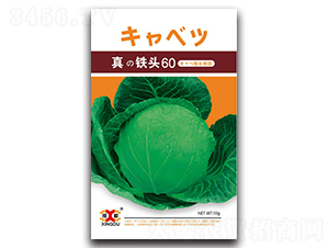 ���F�^60-���{�N��-���зN�I(y��)