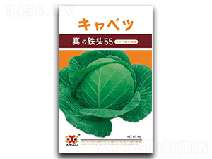 ���F�^55-���{�N��-���зN�I(y��)