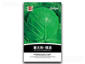 ������G��-���{(l��n)�N��-���зN�I(y��)