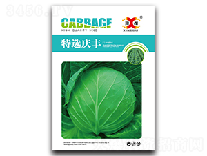 ���x�c�S-���{(l��n)�N��-���зN�I(y��)