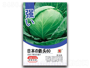 �ձ��F�^60-���{(l��n)�N��-���зN�I(y��)