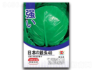 �ձ��F�^40-���{(l��n)�N��-���зN�I(y��)