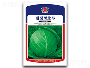 ���Ѻڱ���-���{(l��n)�N��-���зN�I(y��)