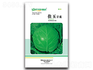 ����-���{(l��n)�N��-���зN�I(y��)