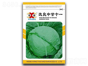 �����и�ʮһ̖-���{(l��n)�N��-���зN�I(y��)