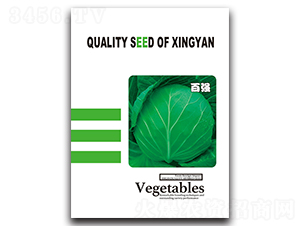 ��?g��u)?qi��ng)-���{(l��n)�N��-���зN�I(y��)