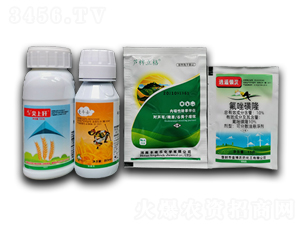 ����¡+��������+�����¡+�r(n��ng)������-�S�՘�