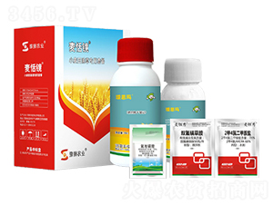 С��������ײ�-�����R-�S�՘�