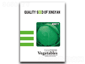 ��ζTT-���{(l��n)�N��-���зN�I(y��)