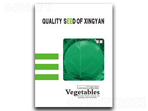 �A��-���{(l��n)�N��-���зN�I(y��)