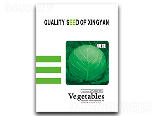 ����-���{(l��n)�N��-���зN�I(y��)