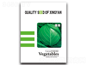 ϲ��-���{(l��n)�N��-���зN�I(y��)