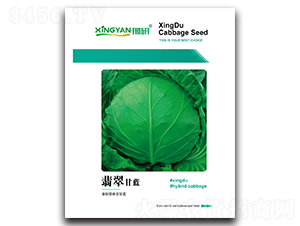 ���-���{(l��n)�N��-���зN�I(y��)