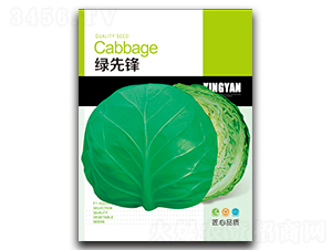 �G���h-���{(l��n)�N��-���зN�I(y��)