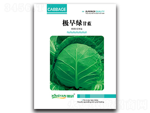 �O��G-���{(l��n)�N��-���зN�I(y��)