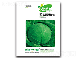 ����G��-���{(l��n)�N��-���зN�I(y��)