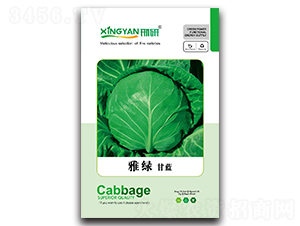 �žG-���{(l��n)�N��-���зN�I(y��)