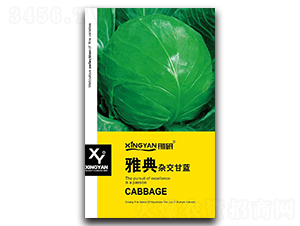 �ŵ�-���{(l��n)�N��-���зN�I(y��)