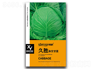 �Ä�-���{(l��n)�N��-���зN�I(y��)