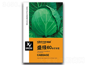 ʢ�G60-���{�N��-���зN�I(y��)