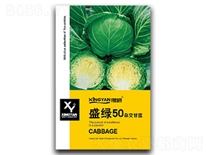 ʢ�G50-���{�N��-���зN�I(y��)