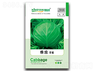 ����-���{�N��-���зN�I(y��)