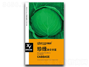 ��G-���{�N��-���зN�I(y��)