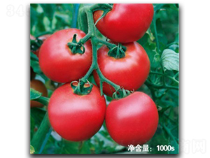 �Z��9023-���ѷN��-�մ��r(n��ng)�I(y��)