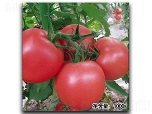 �Z��9021-���ѷN��-�մ��r(n��ng)�I(y��)