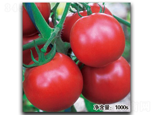 �Z��1047����TY��-���ѷN��-�մ��r(n��ng)�I(y��)