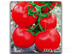 �Z��1063-���ѷN��-�մ��r(n��ng)�I(y��)